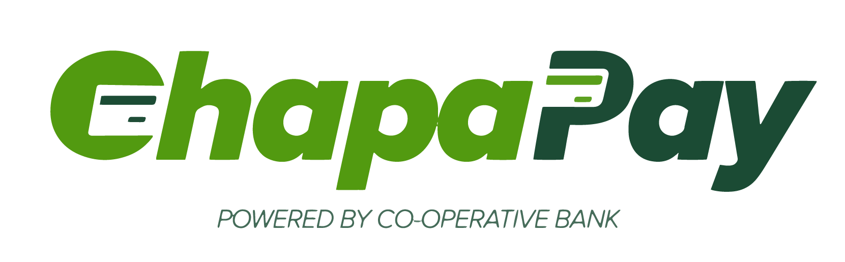 chapa-pay-logo