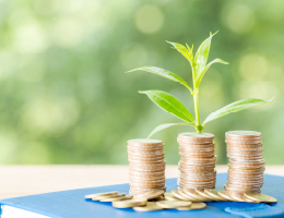 Mastering The Art Of Financial Growth For Your Business